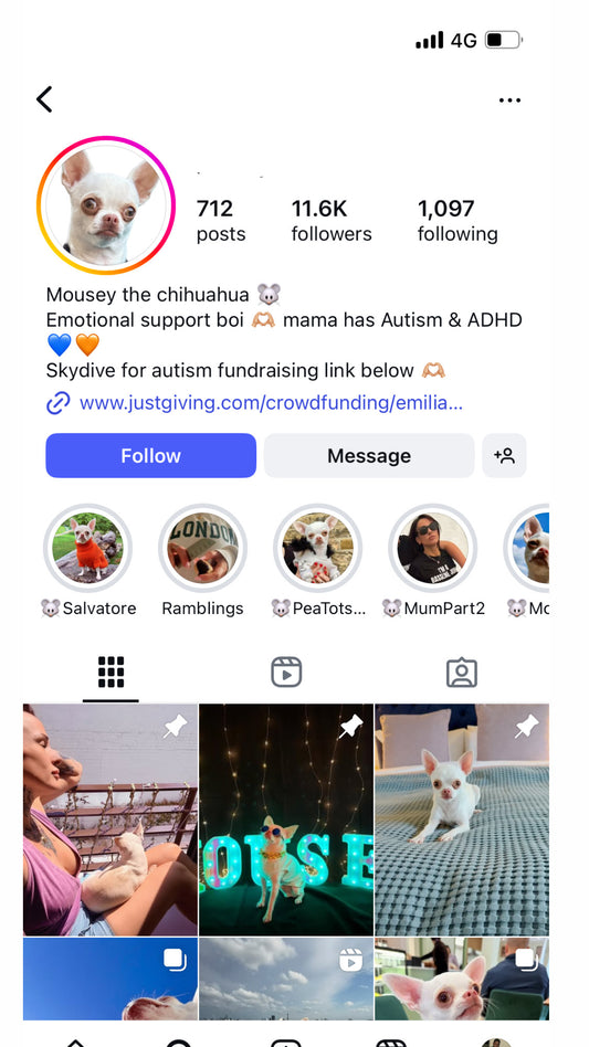 INSTAGRAM ACCOUNT  11.6K for sale